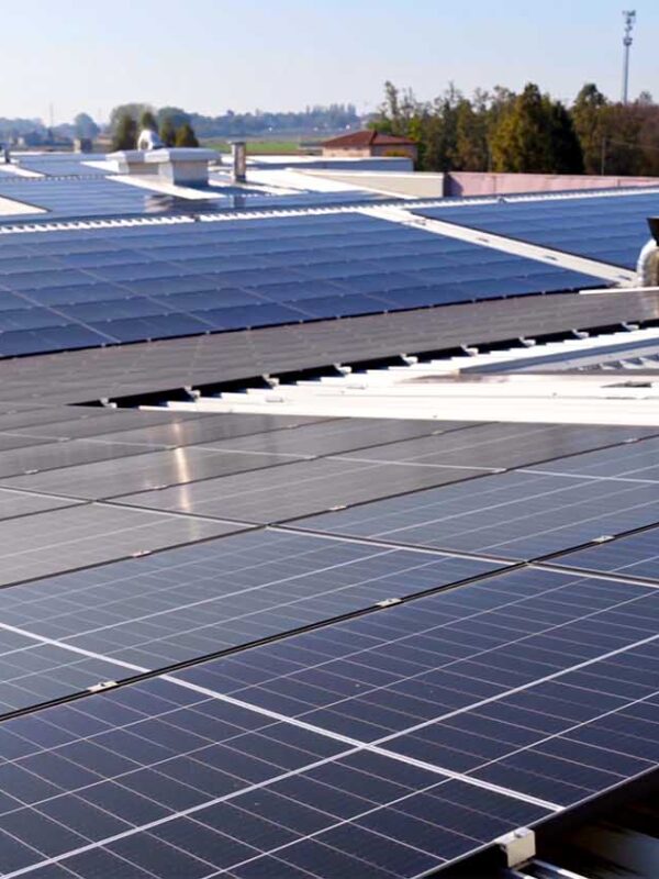 Dettaglio dei pannelli fotovoltaici installati sulla copertura dello stabilimento industriale dell'azienda Gianni Negrini, con moduli solari allineati su tetto metallico e strutture tecniche visibili sullo sfondo.